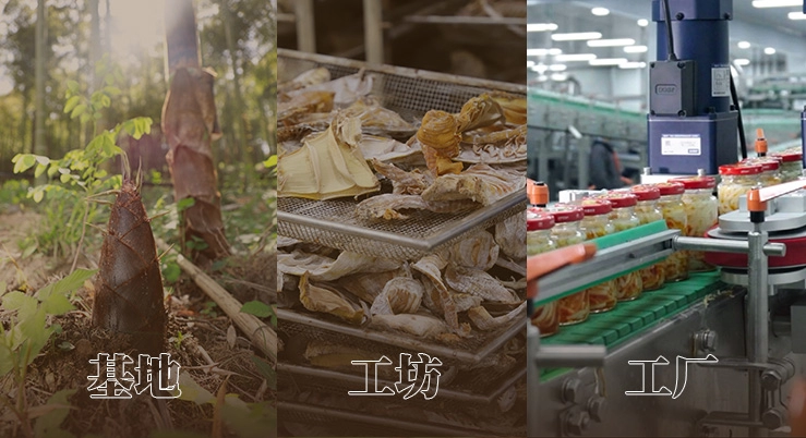 基地、工坊、工厂模式共富